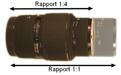 objectif macro
