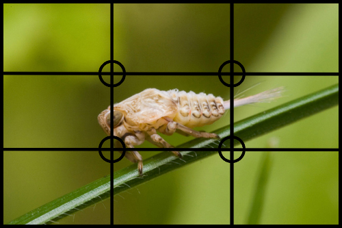 photo points