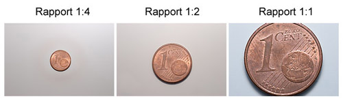 rapport de grossissement